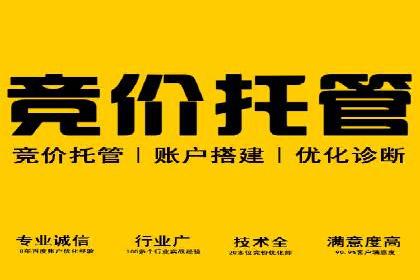 实战案例：SEM公司助力电商企业实现快速增长
